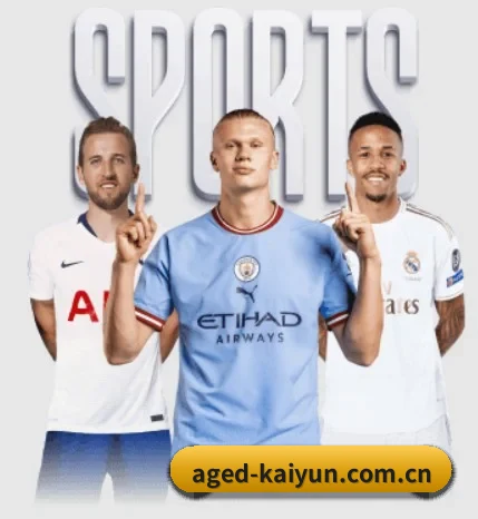 五大体育板块覆盖,从比分到直播全覆盖